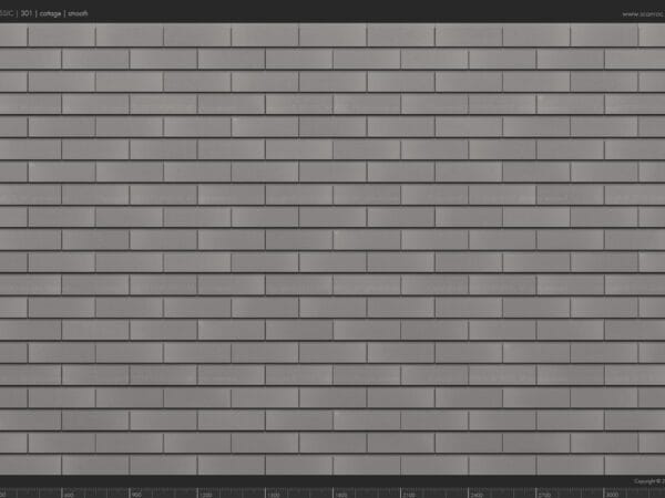 Cottage format [300 x 100]